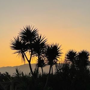 Meet your Posher, Tinsly